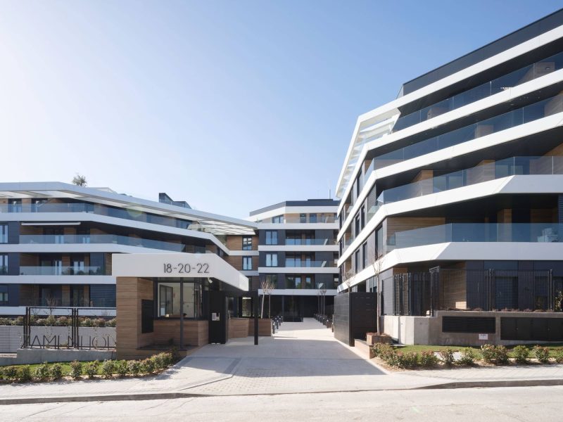 Morph_ZAMENHOFF_Pegenaute-(1)