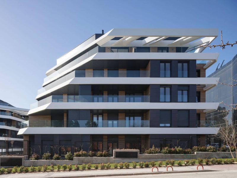 Morph_ZAMENHOFF_Pegenaute-(2)