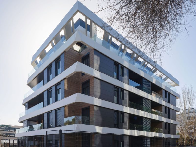 Morph_ZAMENHOFF_Pegenaute-(3)